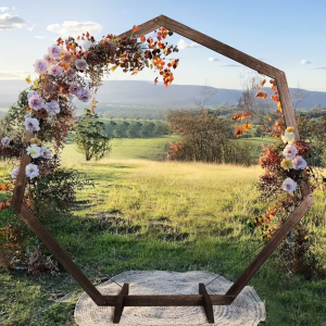 Hexagonal Wedding Arch (Quantity 1)