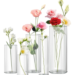 Cylinder Vase Collection 4" to 10" tall (Quantity 1)