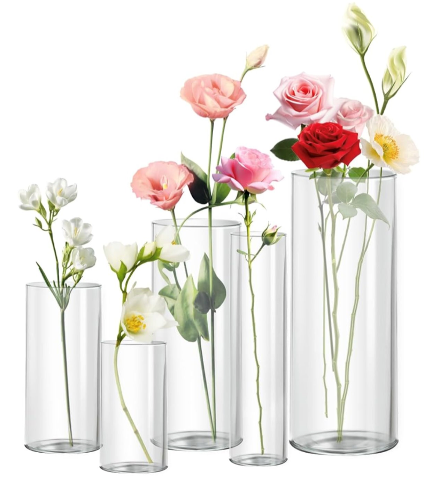 Clear Glass Cylinders — Graduated Heights