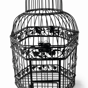 Black Iron Birdcage (Quantity 1)